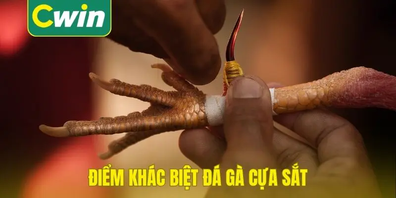 Điểm khác biệt giữa đá gà cựa sắt