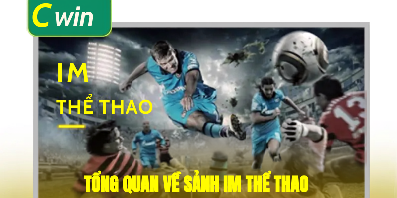 Tổng quan về sảnh im thể thao